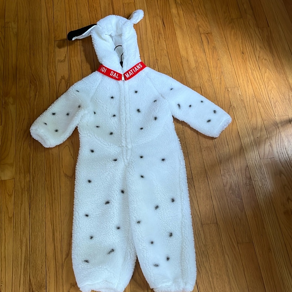 Disney costume